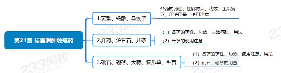 第21章 拔毒消腫斂瘡藥.png
