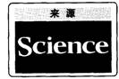 英語四級閱讀理解