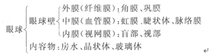 第一節(jié)視器