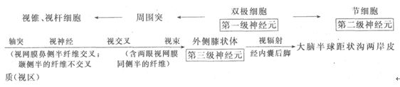 2015年成人高考《醫(yī)學(xué)綜合》第一部分第十二章考點(diǎn)及試題