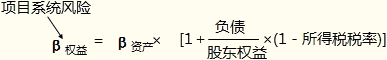項目系統(tǒng)風險的衡量和處置