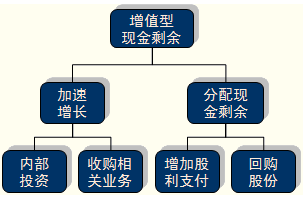 財務戰略的選擇