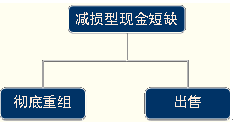 財務戰略的選擇