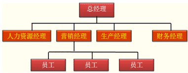 職能制組織結構圖