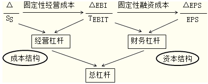 總杠桿