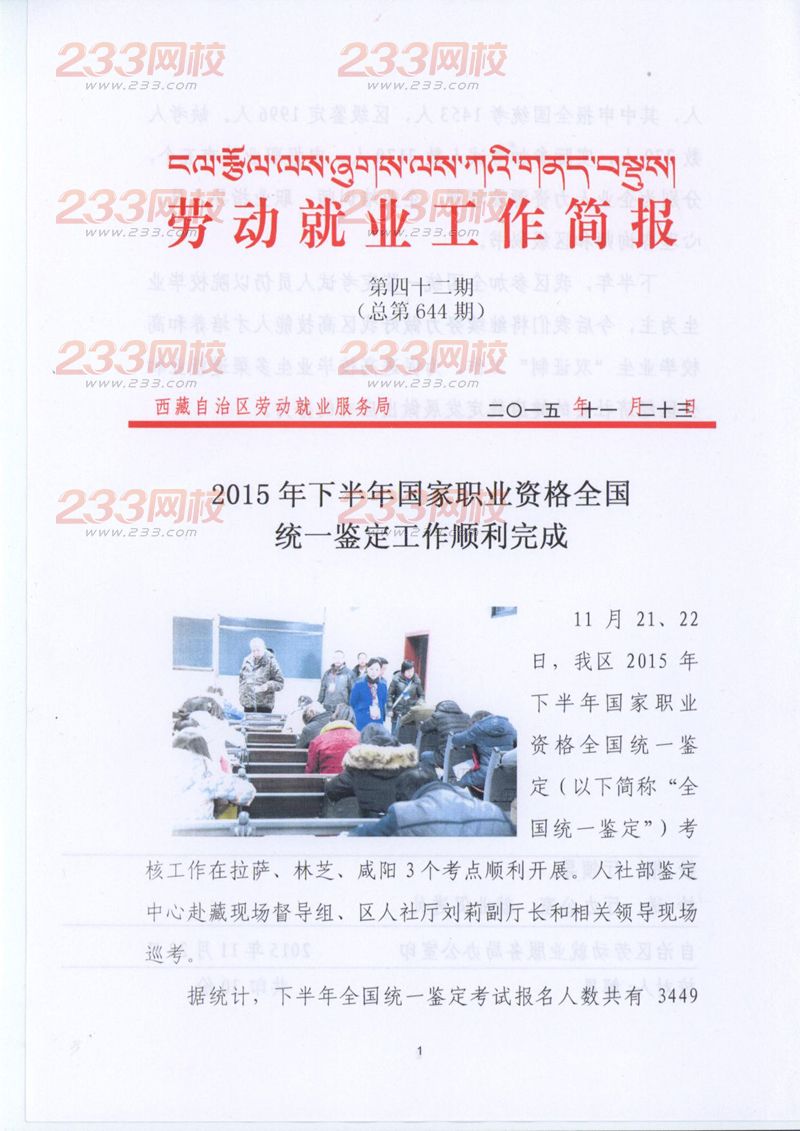 2015下半年西藏全國統(tǒng)一鑒定