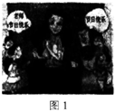 2015年教師資格證考試《幼兒園綜合素質》過關習題(1)
