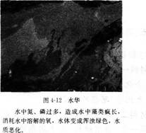 2016年教師資格證考試《化學(xué)學(xué)科知識(shí)與教學(xué)能力》(高級(jí)中學(xué))最后沖刺卷(5)