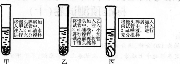 2016年教師資格證考試《生物學科知識與教學能力(初級中學)》深度押密卷(5)