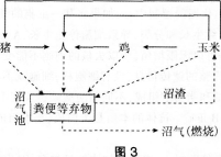 2016年教師資格證考試《生物學科知識與教學能力(初級中學)》深度押密卷(5)