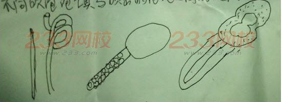 2016上半年教師資格證考試真題及答案:幼兒保教知識與能力