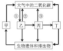 教師資格證考試大綱——《科學(xué)學(xué)科知識(shí)與教學(xué)能力》（初級(jí)中學(xué)）