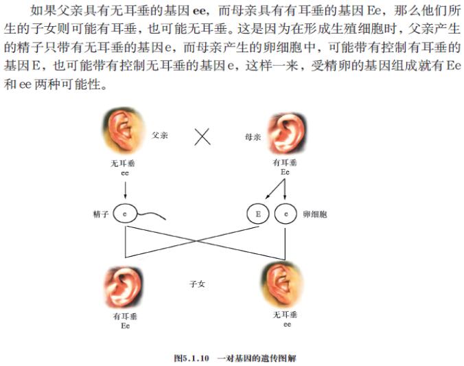 教師資格證考試大綱——《科學(xué)學(xué)科知識(shí)與教學(xué)能力》（初級(jí)中學(xué)）