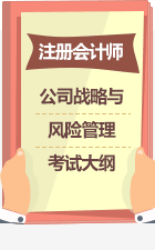 《公司戰略與風險管理》考試大綱