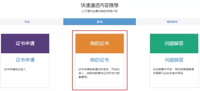 2.webp.jpg