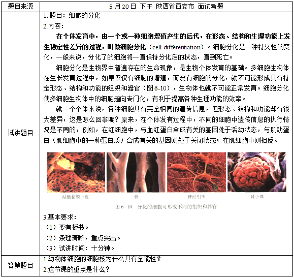 圖片.png