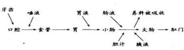 圖片.png