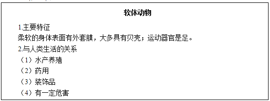 圖片.png