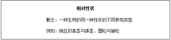 圖片.png