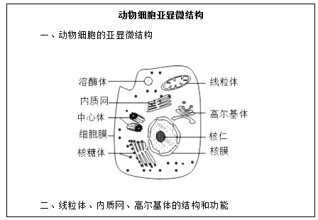 圖片.png