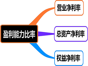 盈利能力.png