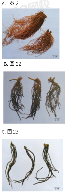 圖片.png