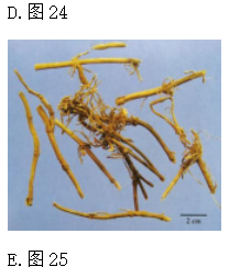 圖片.png