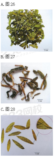 圖片.png