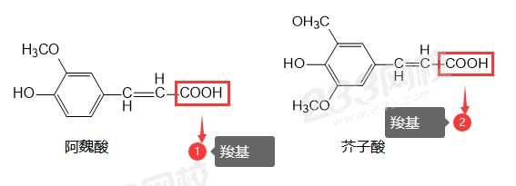有機酸.jpg
