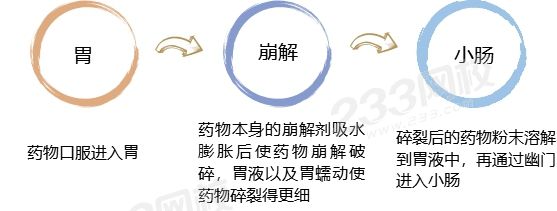 胃腸吸收.jpg