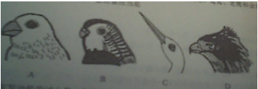 圖片.png 圖片.png