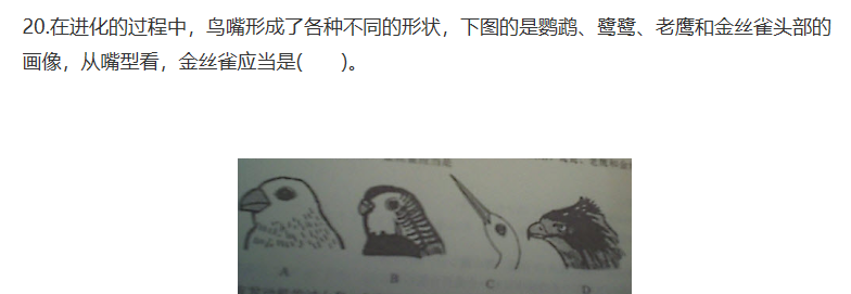 圖片.png