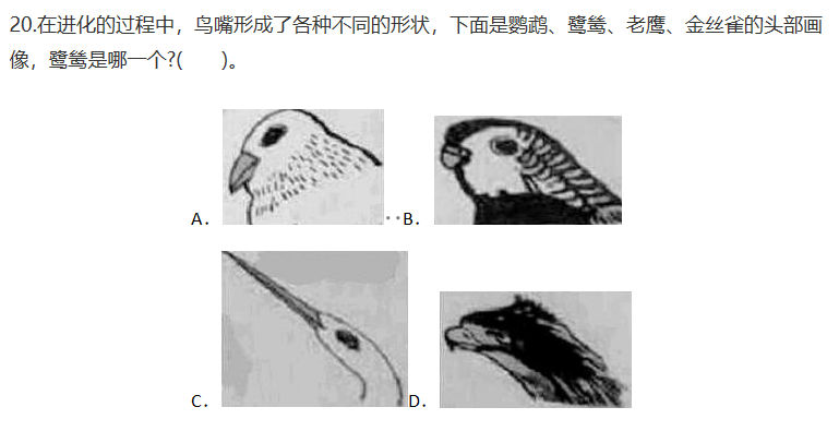 圖片.png