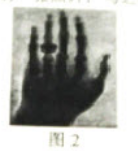 圖片.png 圖片.png