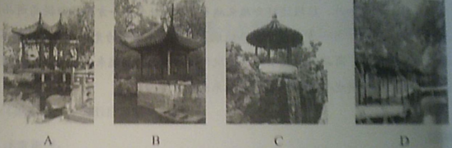 圖片.png
