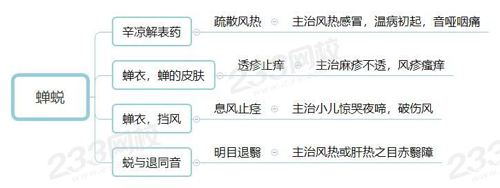 蟬蛻.jpg