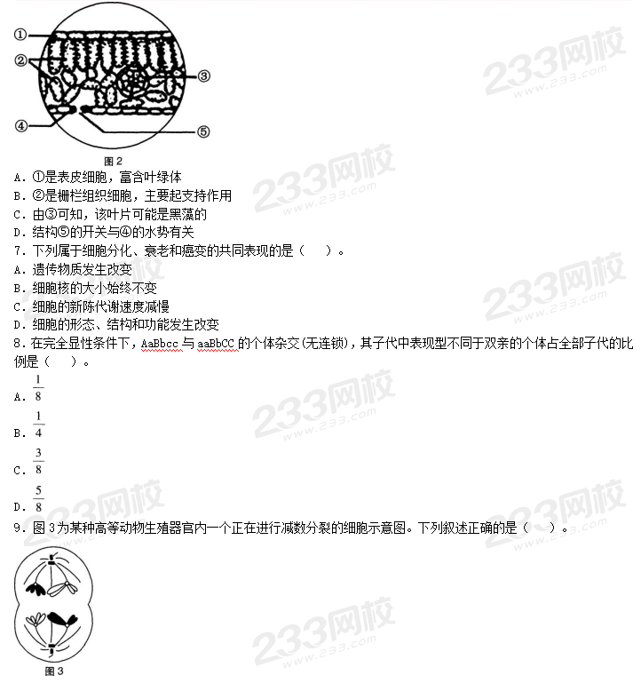 圖片.png