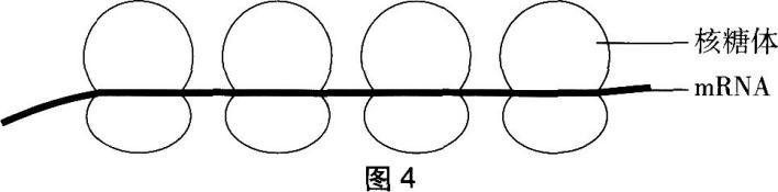 圖片3.png
