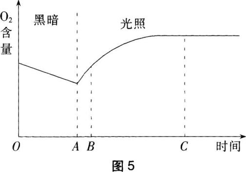 圖片7.png