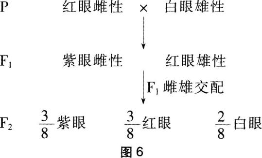 圖片8.png