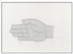 圖片.png