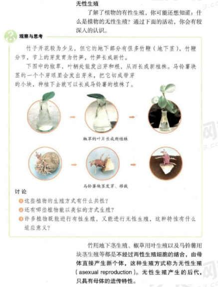 圖片.png