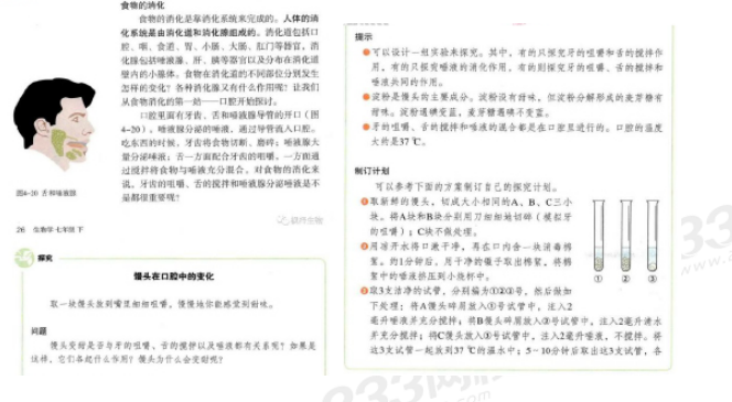 圖片.png