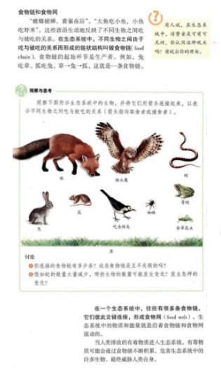 圖片.png